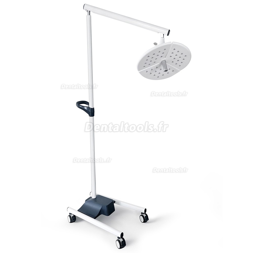 KWS KD-2036L-4 lampe scialytique dentaire LED mobile 80W sur pied avec 4 roulettes